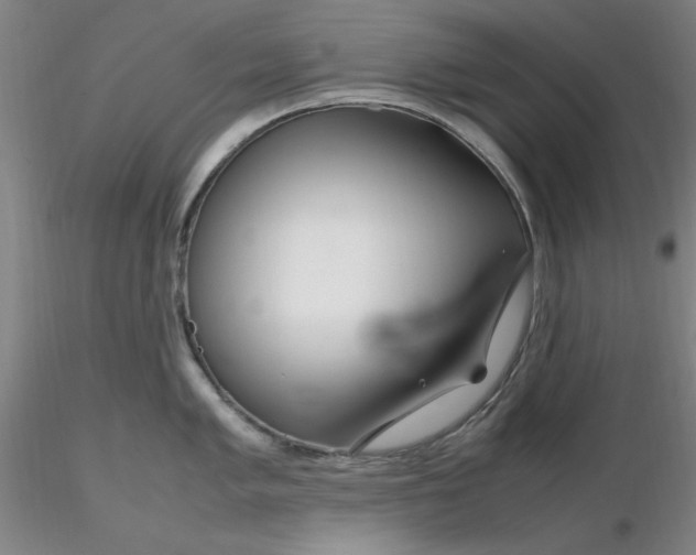 X0000116271005200912211754