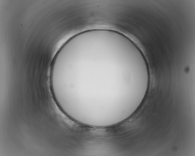 X0000116271006200912211754