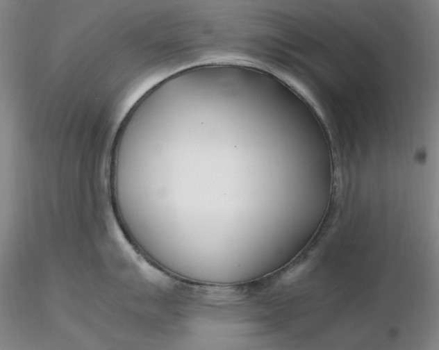 X0000116271007200912211754