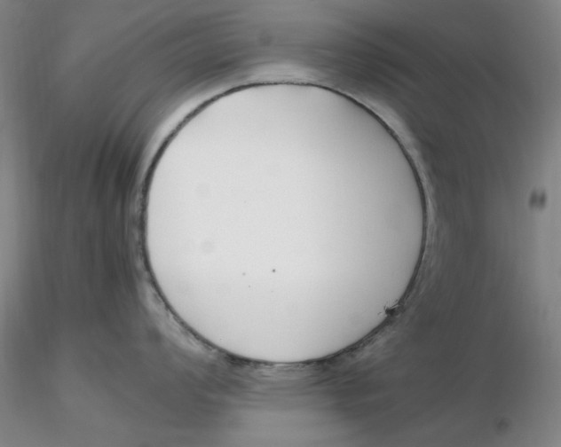 X0000116271008200912211754