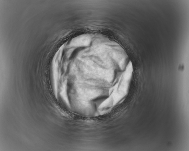 X0000116271009200912211753