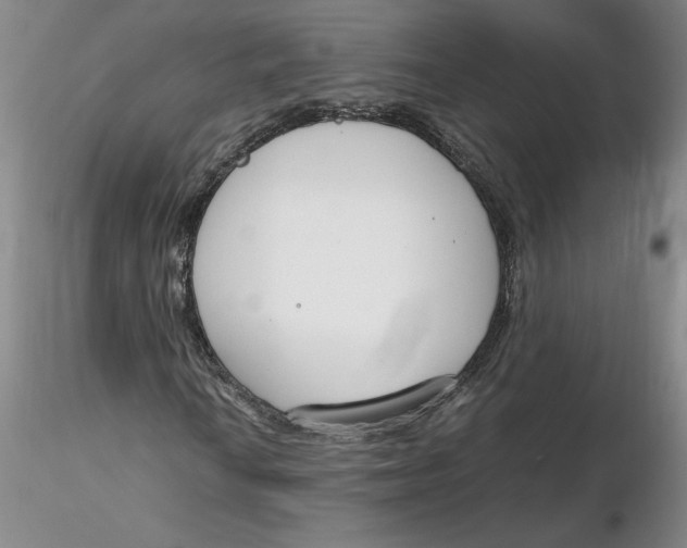 X0000116271010200912211753
