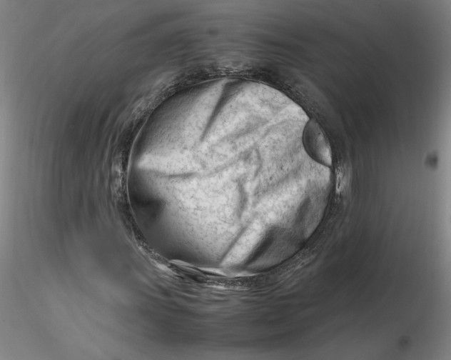 X0000116271011200912211753