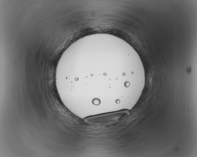 X0000116271012200912211753