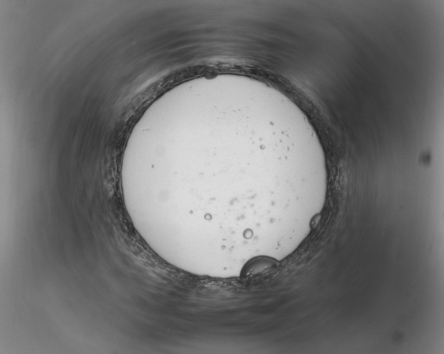 X0000116271015200912211753