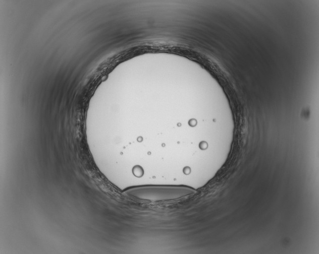 X0000116271016200912211753