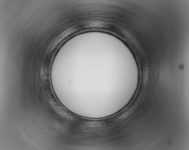 X0000116271017200912211753