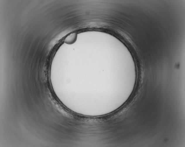 X0000116271018200912211753