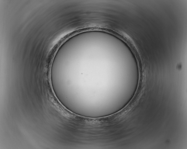 X0000116271019200912211753