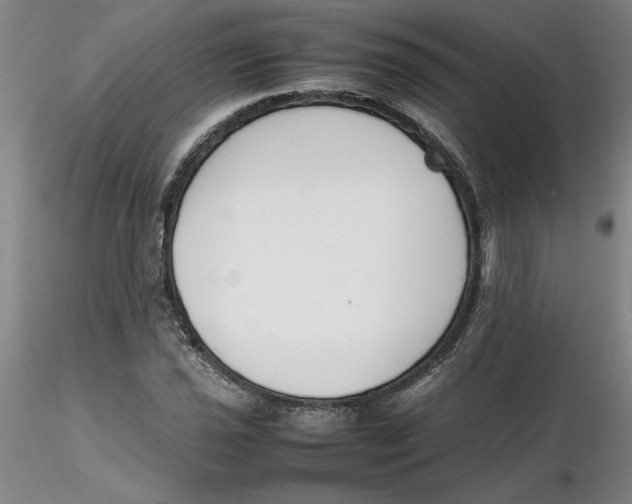 X0000116271021200912211753