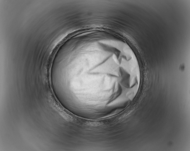 X0000116271023200912211753