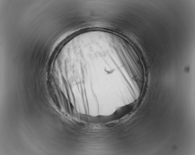 X0000116271024200912211753