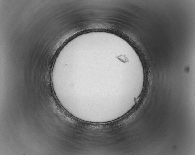 X0000116271025200912211753