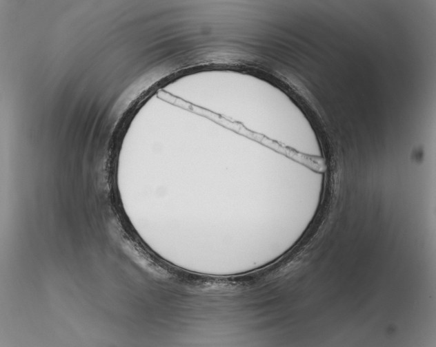 X0000116271026200912211753