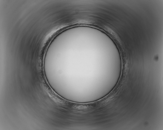 X0000116271027200912211753