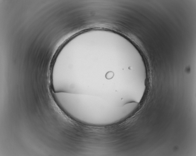X0000116271028200912211753