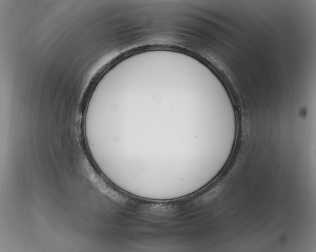 X0000116271029200912211753
