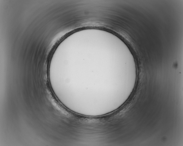X0000116271030200912211753