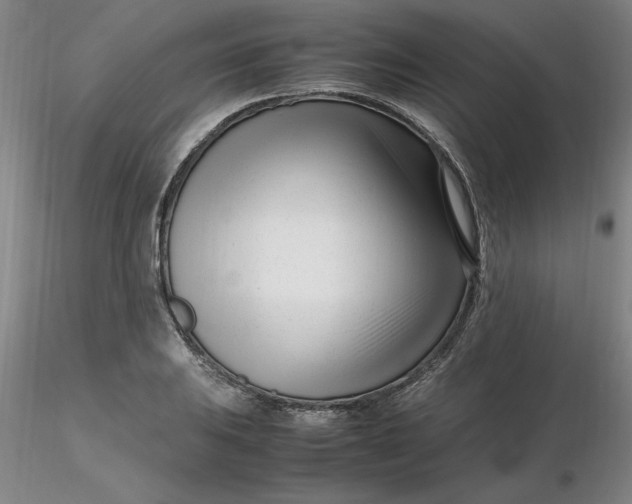 X0000116271031200912211753