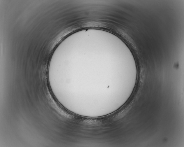 X0000116271033200912211753