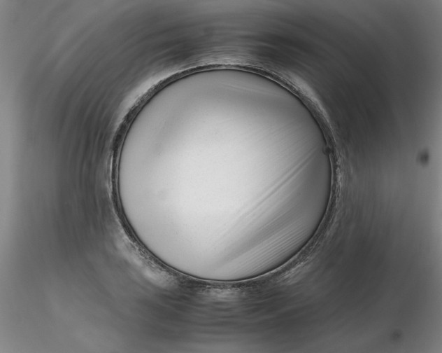 X0000116271035200912211753