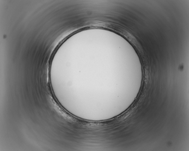 X0000116271036200912211753