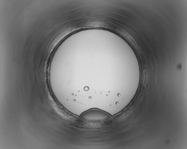 X0000116271039200912211754