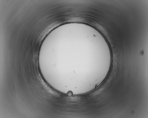 X0000116271041200912211754