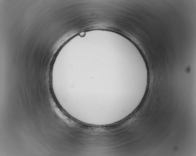 X0000116271042200912211754