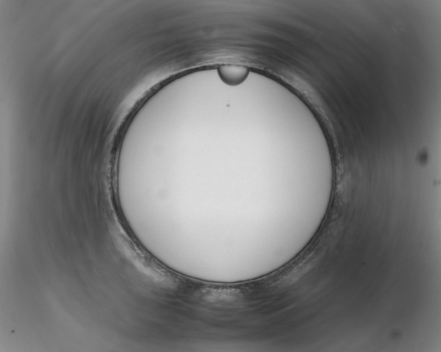 X0000116271043200912211754