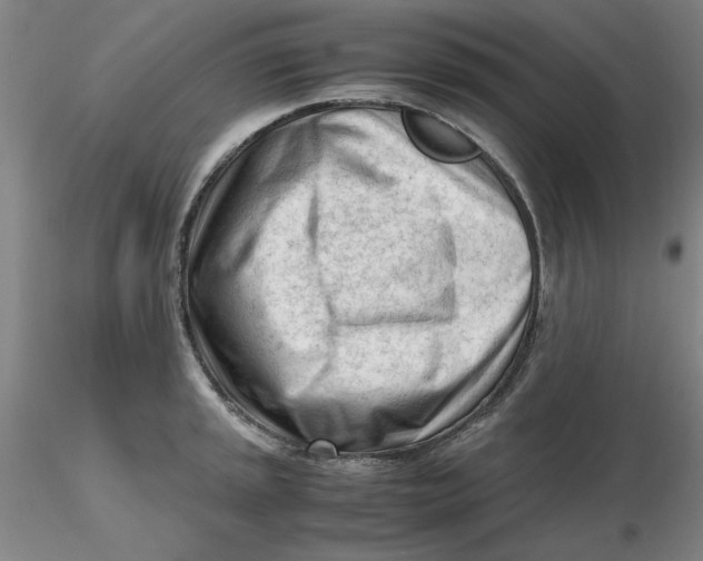 X0000116271045200912211754
