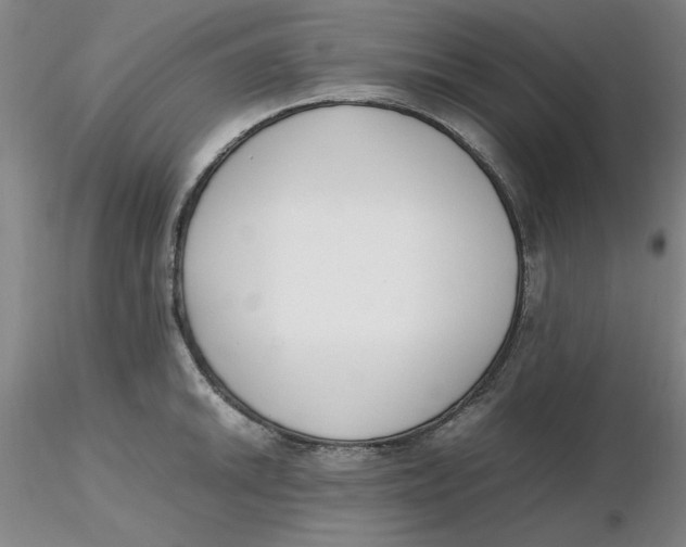 X0000116271046200912211754