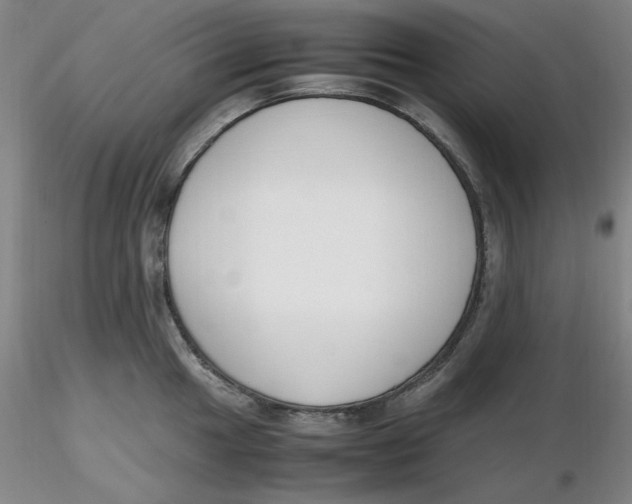 X0000116271049200912211754