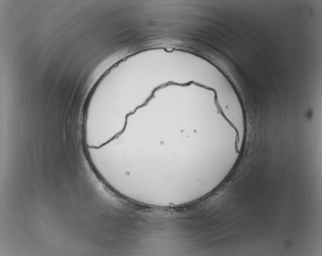 X0000116271050200912211754