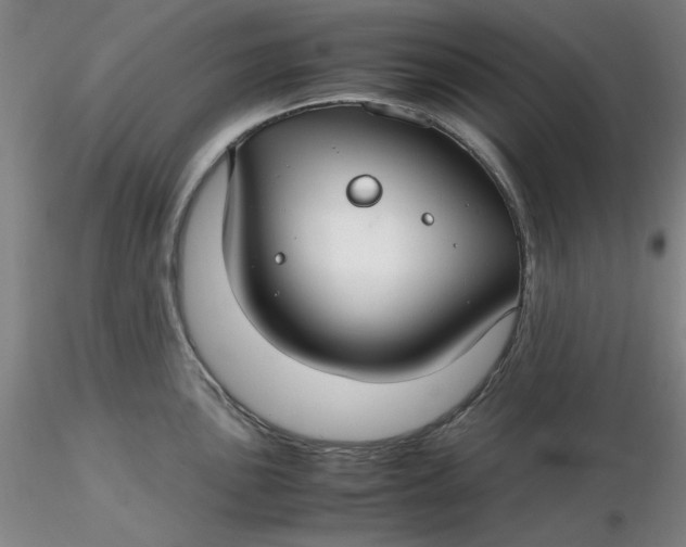 X0000116271051200912211754