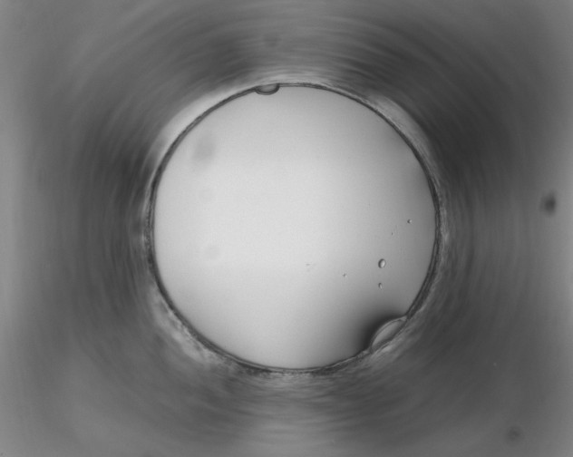 X0000116271052200912211754