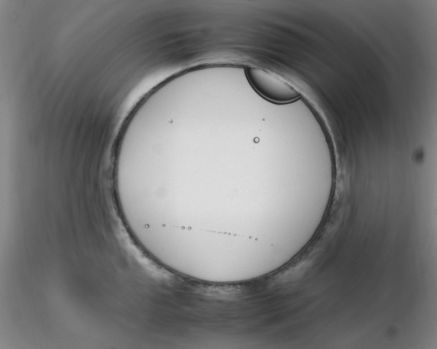 X0000116271053200912211754