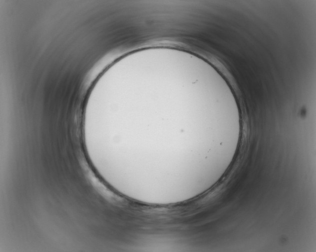 X0000116271054200912211754