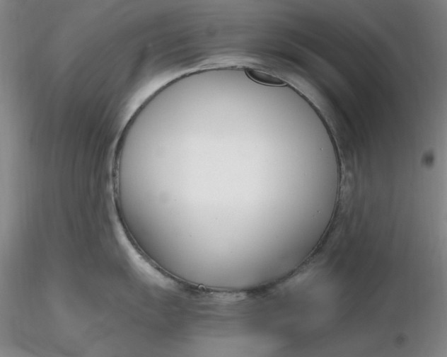 X0000116271055200912211754