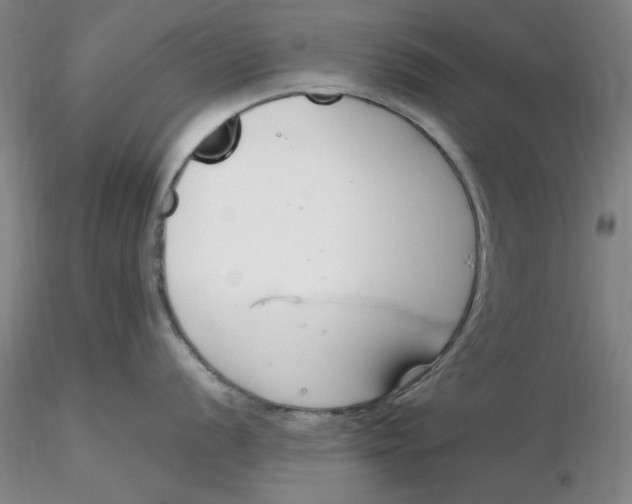X0000116271056200912211754