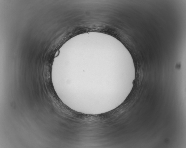 X0000116271058200912211753