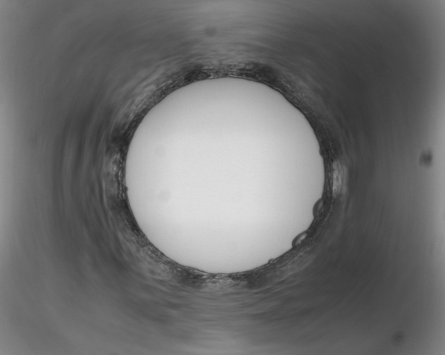 X0000116271059200912211753