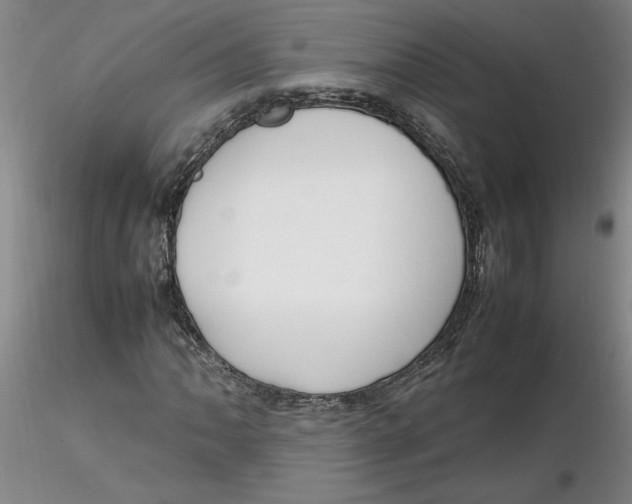 X0000116271062200912211753
