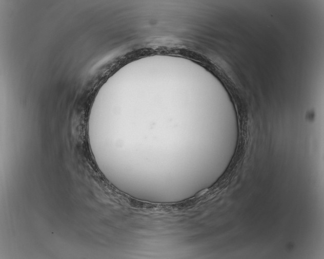 X0000116271063200912211753