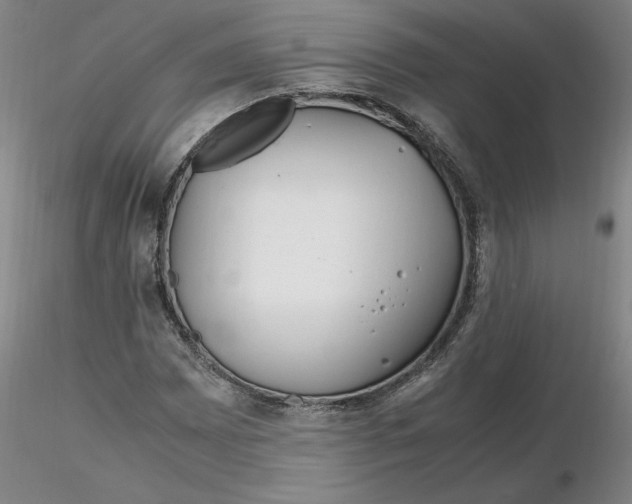 X0000116271065200912211753