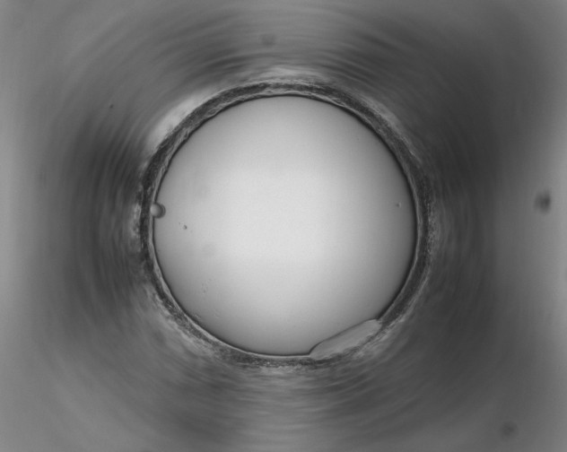 X0000116271066200912211753