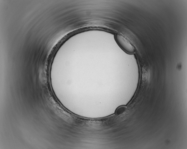 X0000116271068200912211753