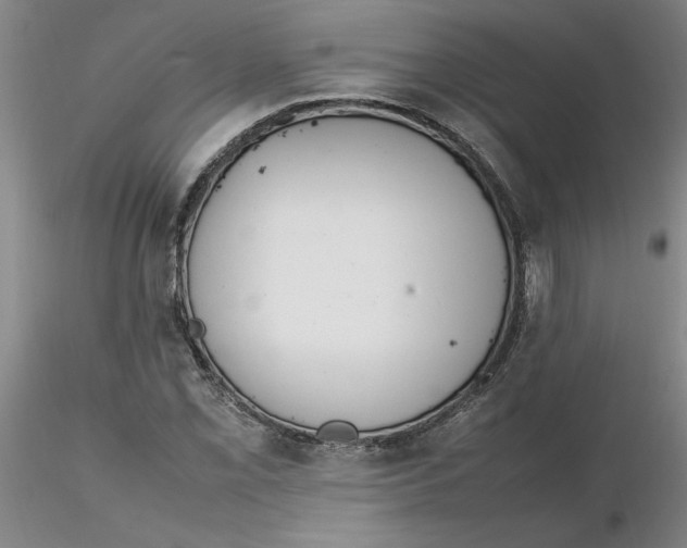 X0000116271069200912211753