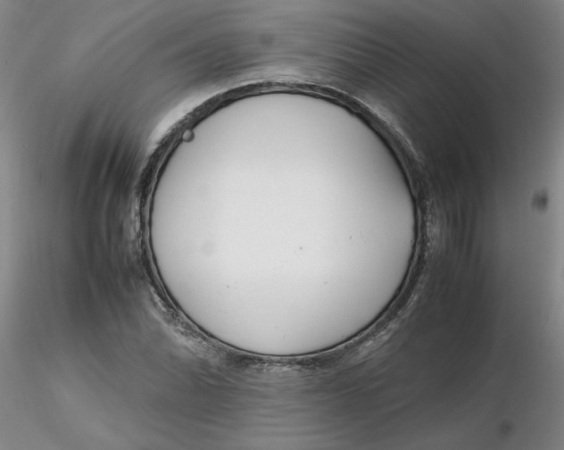 X0000116271070200912211753