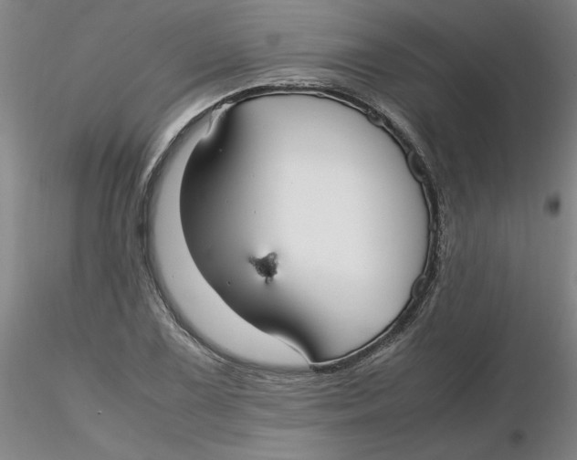 X0000116271075200912211753